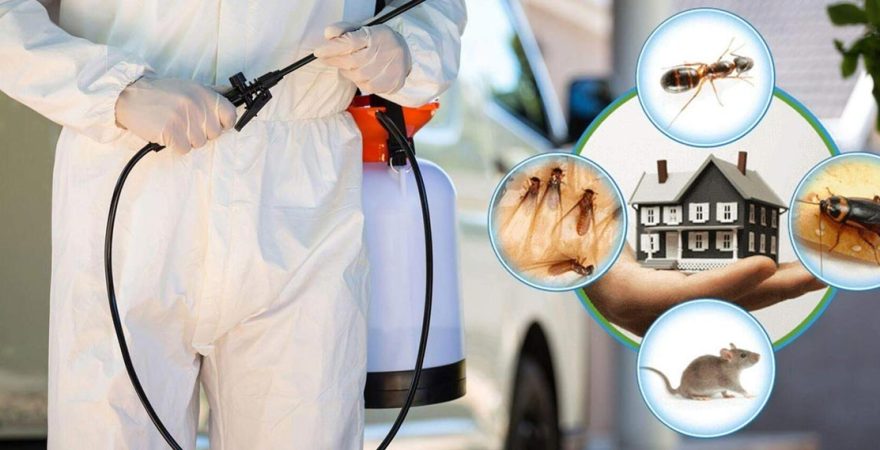 Gülşehir Böcek İlaçlama