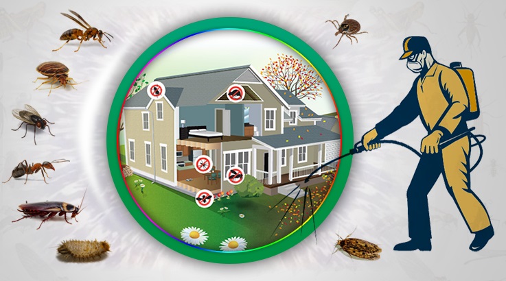 Gülşehir Böcek İlaçlama