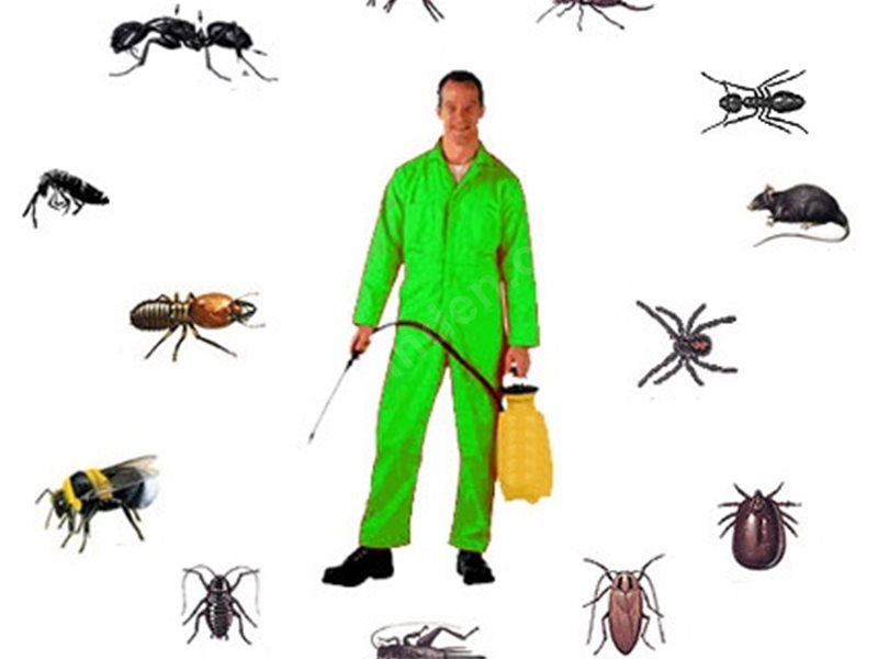 Gülşehir Böcek İlaçlama